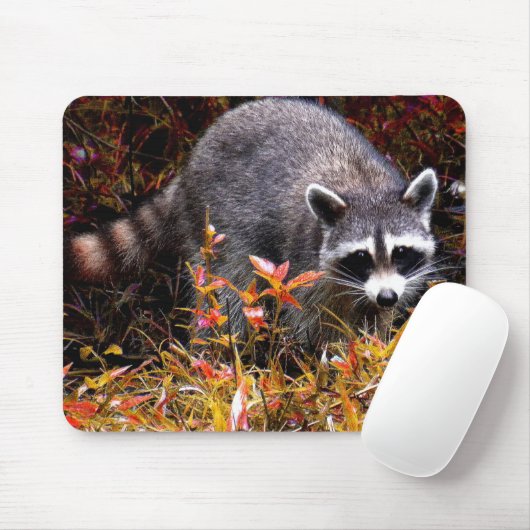 WASCHBÄR IM HERBST MOUSEPAD (Mit Mouse)