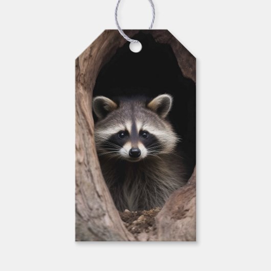 Waschbär in Baummulde Geschenkanhänger (Vorderseite)