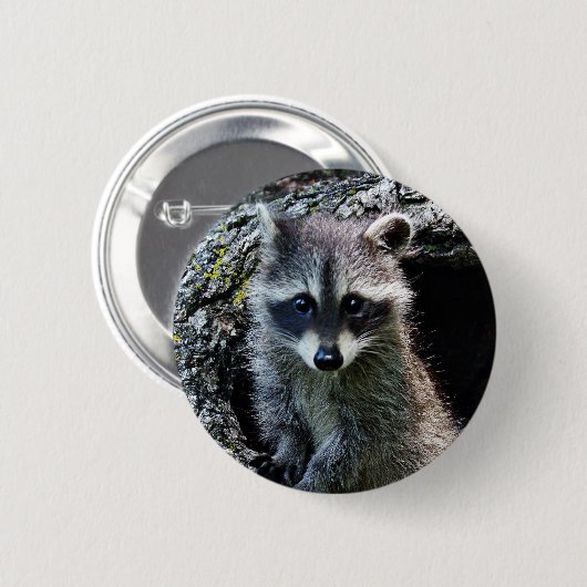 Waschbär in der Höhle Button (Vorne & Hinten)
