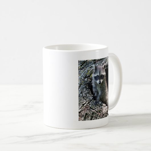 Waschbär in der Höhle Kaffeetasse (VorderseiteRechts)