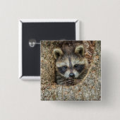 Waschbär in einer Baumhöhle Button (Vorne & Hinten)