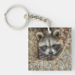 Waschbär in einer Baumhöhle Schlüsselanhänger