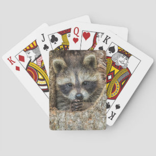 Waschbär in einer Baumhöhle Spielkarten