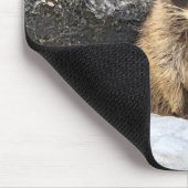 Waschbär in Strandfelsen im Winter Mousepad (Ecke)