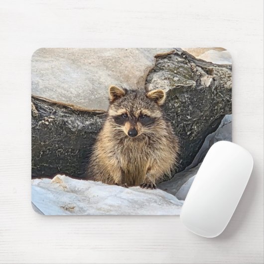 Waschbär in Strandfelsen im Winter Mousepad (Mit Mouse)