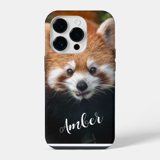 Waschbär iPhone hülle (Rückseite)