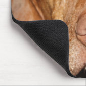 Waschbär-Jagdhund-Mausunterlage Mousepad (Ecke)