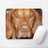 Waschbär-Jagdhund-Mausunterlage Mousepad (Mit Mouse)