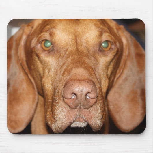 Waschbär-Jagdhund-Mausunterlage Mousepad (Vorne)