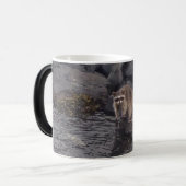 Waschbär-Kaffee Verwandlungstasse (Vorderseite Links)