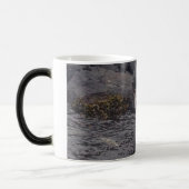 Waschbär-Kaffee Verwandlungstasse (Links)