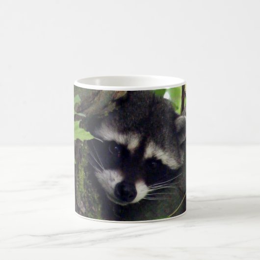 Waschbär Kaffeetasse (Mittel)