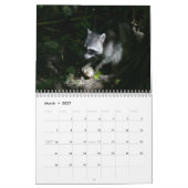 Waschbär-Kalender Kalender (Mär 2027)