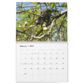 Waschbär-Kalender Kalender (Feb 2027)