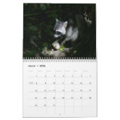 Waschbär-Kalender Kalender (Mär 2026)