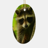 Waschbär Keramikornament (Rechts)