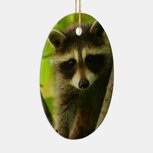 Waschbär Keramikornament (Rechts)