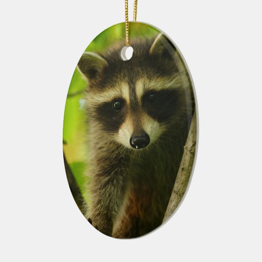 Waschbär Keramikornament (Links)