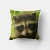 Waschbär Kissen (Rückseite)