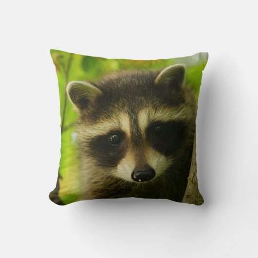 Waschbär Kissen (Vorderseite)