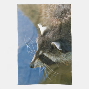 Waschbär Küchentuch