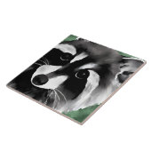 Waschbär-Kunst Fliese (Seite)