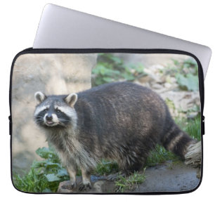 Waschbär Laptopschutzhülle