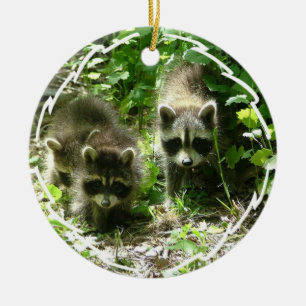 Waschbär-Lebensraum-Verzierung Keramik Ornament