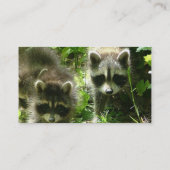 Waschbär-Lebensraum-Visitenkarte Visitenkarte (Rückseite)