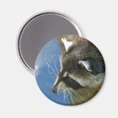 Waschbär Magnet (Vorderseite/Rückseite)
