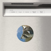 Waschbär Magnet (In Situ (Geschirrspüler))
