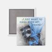 Waschbär - magnet (Vorderseite/Rückseite)