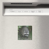 Waschbär Magnet (In Situ (Geschirrspüler))