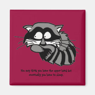 Waschbär Magnet