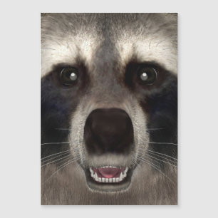 Waschbär Magnetkarte