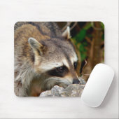 Waschbär-Mauspad Mousepad (Mit Mouse)
