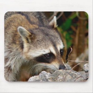 Waschbär-Mauspad Mousepad