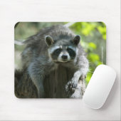 Waschbär-Mauspad Mousepad (Mit Mouse)