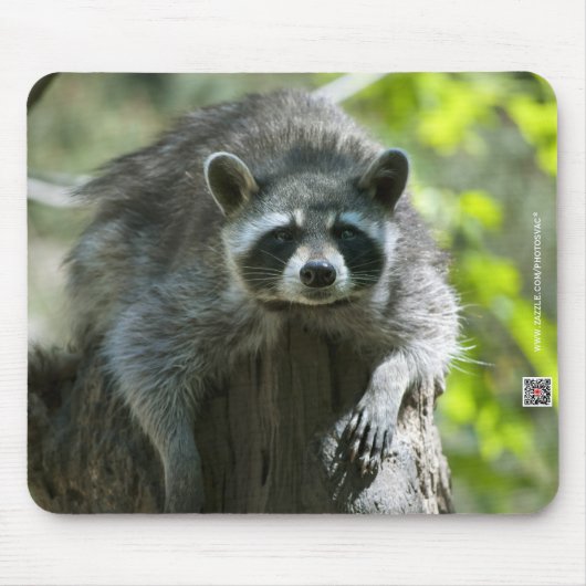 Waschbär-Mauspad Mousepad (Vorne)