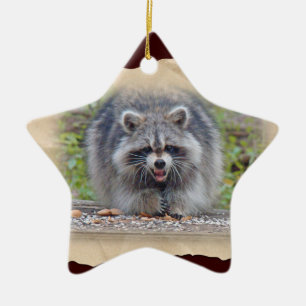 Waschbär - mein Vogelsamen! Keramikornament