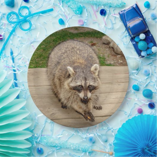 Waschbär mit einem Chip Pappteller (Party)