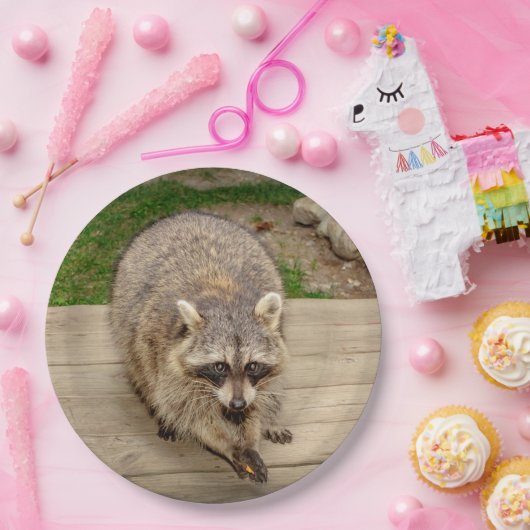 Waschbär mit einem Chip Pappteller (Party)