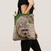 Waschbär mit einem Chip Tasche (Von Nahem)