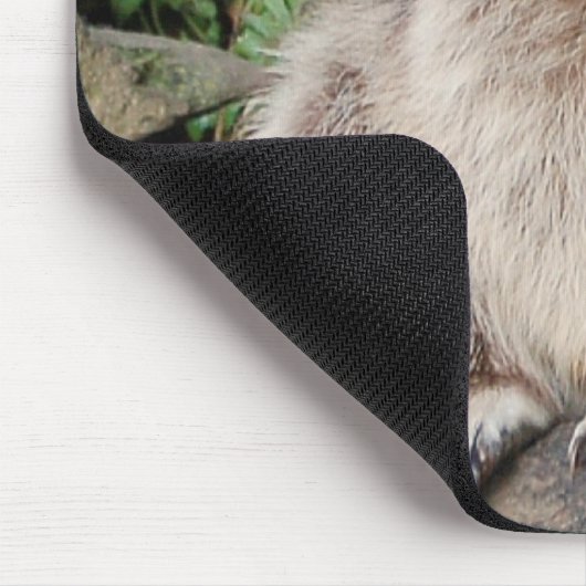 Waschbär Mousepad (Ecke)
