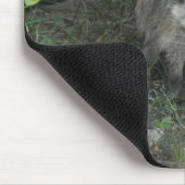 Waschbär Mousepad (Ecke)