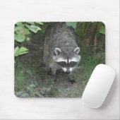 Waschbär Mousepad (Mit Mouse)