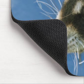 Waschbär Mousepad (Ecke)