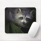 Waschbär Mousepad (Mit Mouse)