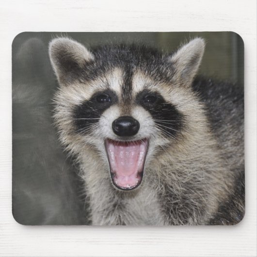 Waschbär Mousepad - #1025 (Vorne)