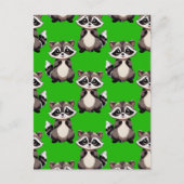 Waschbär-Muster-Design Grün Postkarte (Vorderseite)
